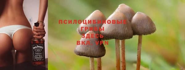 MESCALINE Абаза