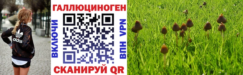 Галлюциногенные грибы Cubensis  Кашин 